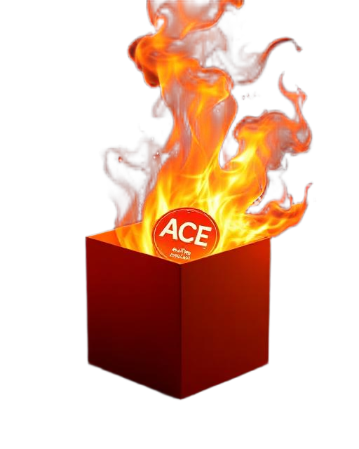 ONE PIECE FIRE FIST ACE